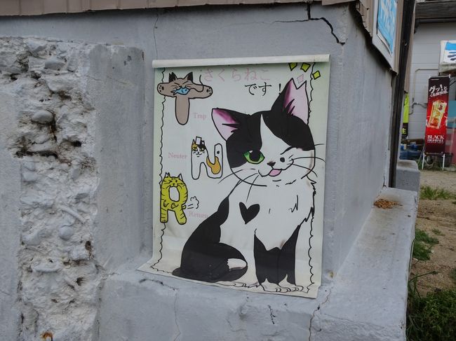 島めぐり猫めぐり 女木島男木島編 高松 香川県 の旅行記 ブログ By Nekoloveさん フォートラベル 島めぐり猫めぐり 女木島男木島編 高松 香川県 の旅行記 ブログ By Nekoloveさん フォートラベル