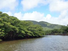早くしないと上流にある樹齢400年のサキシマスオウの木が見れなくなる！ということで、急いで川を上っていきます。