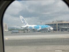 約５０分でホノルル空港に到着です。

今日も大きなホヌが停まっていました。

しかし、この飛行機の窓は非常に残念…。
もう少しクリアに見えるといいんですけどね。