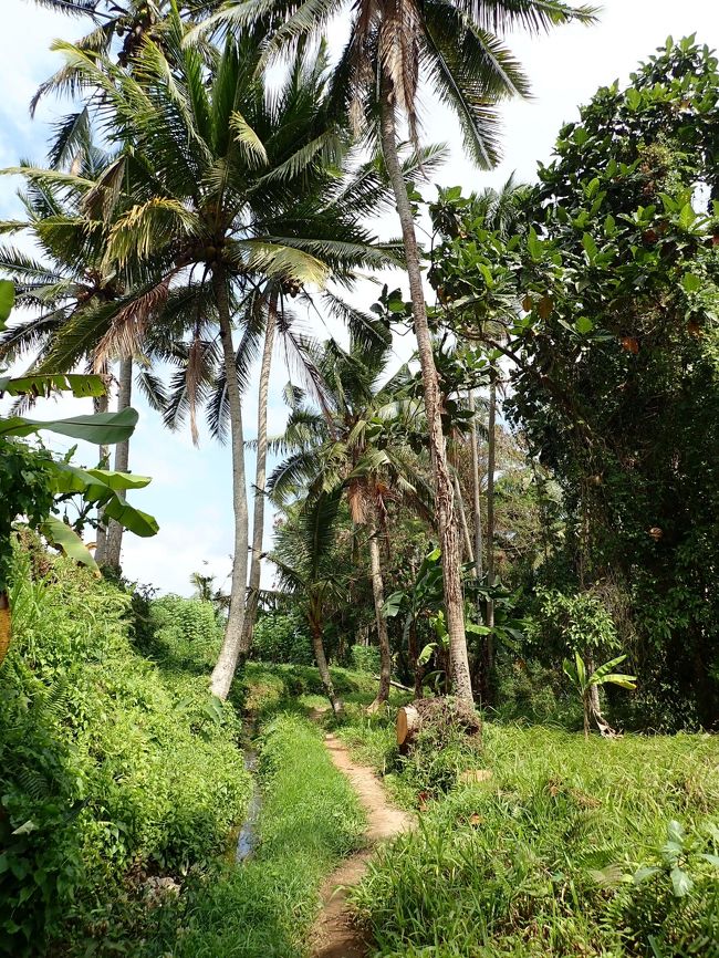 こんな道をテクテクと