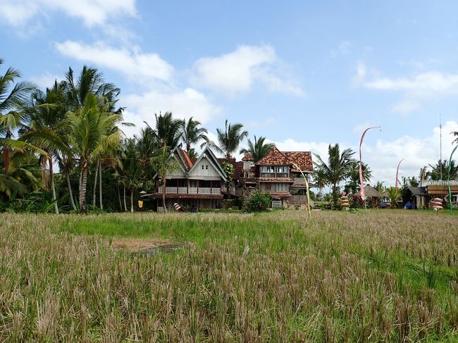 お天気も良くなってきたけど、さわやかな風が吹いて快適