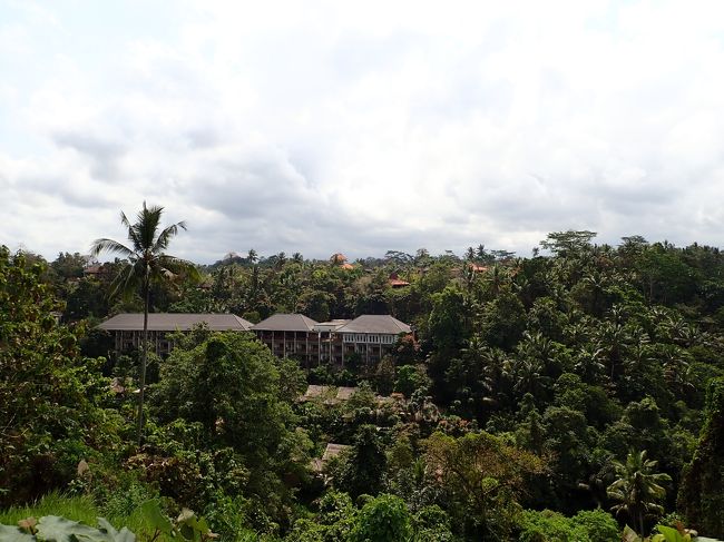 マイナスイオンを求めて、こんなホテルに泊まる人もいるんだろうけど、大荷物は厳しそう