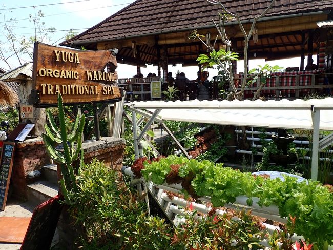 こちらのテラスは野菜を水耕栽培中。サラダおいしいのかな？