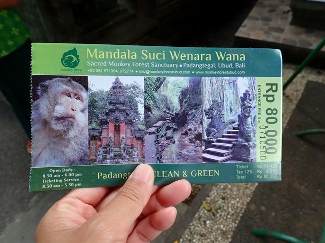 気分新たにモンキーフォレスト