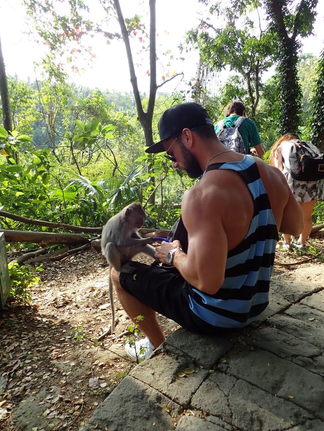 この男性はおさるさんと遊んでたけど、おさるさんがへそまげて、威嚇してた。。。