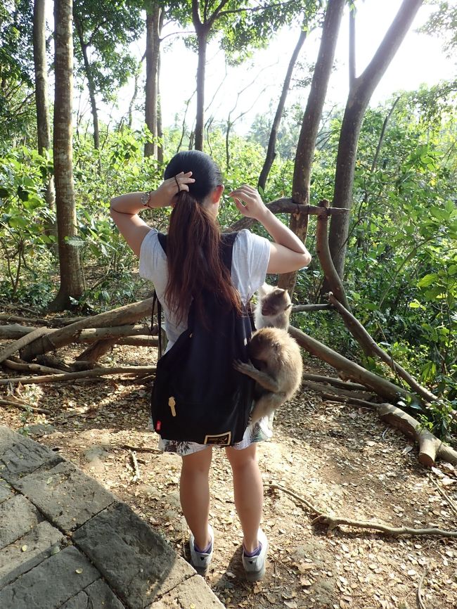 最後は髪がおもちゃと間違われ、猿３匹に襲われた妹様ＷＷＷ母上はサル3匹乗せてる妹様の笑顔の写真を撮ってた(笑)