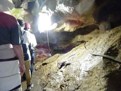 洞内は事故防止のため撮影禁止、ちょっとだけ撮ろうかなと思いましたが、入ってすぐに納得。
私は秋芳洞のような日本有数の鍾乳洞を想像していましたが、そんな広い物じゃなく、まさに人1人通るだけでもやっとの洞窟です。