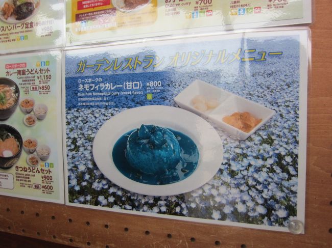 １９ 茨城さんぽ７ ひたち海浜公園 ネモフィラカレー ネモフィラ ひたちなか 茨城県 の旅行記 ブログ By たーさん フォートラベル