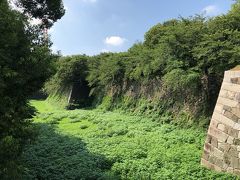 名古屋城の魅力の一つは壮大な堀。