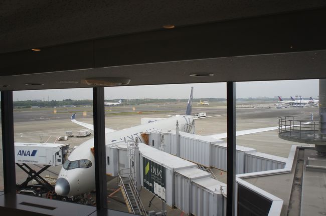 自分たちの乗る飛行機をチェック<br />ベトナム航空塗装じゃなく、スカイチームの機体