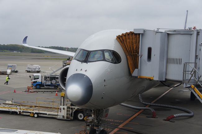 撮影場所を変えてアタックしましたが<br />機体全体が見えません