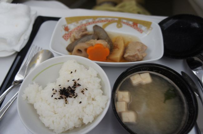 和食のメイン、鶏肉のうま煮<br /><br />見た目は地味ですが<br />こちらも普通に美味しゅうございました