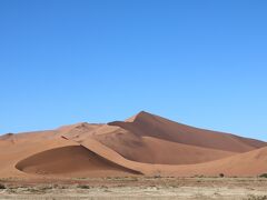 ビッグダディが見えてきました。
砂丘というよりもちょっとした山です。
これからこれを登るとすると思うと、びっくりする高さです。