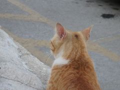 ヴィクトリア(ゴゾ島)