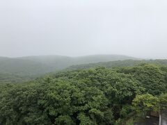 釧路湿原展望台は霧雨で残念ながら景色も見れず