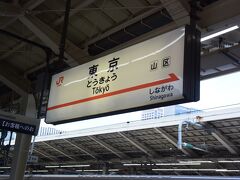 新富士駅から新幹線こだまで約1時間、東京駅に到着！