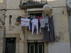 おはようアルファマ 　4日目
あ、洗濯の日か
猫さんまた明日