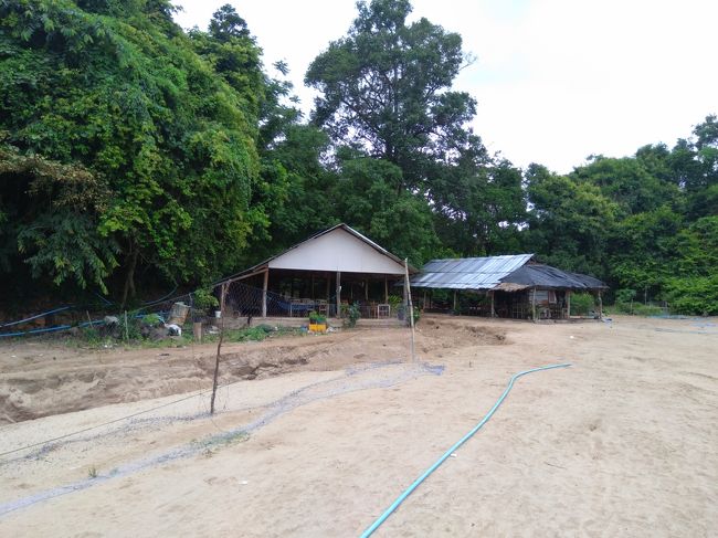 砂浜には食事をする場所や売店もありました。