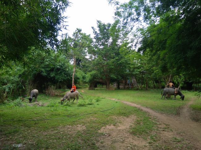ソムパミットの滝の入口周辺です。<br />自転車を停めて、歩いて滝を目指します。<br />