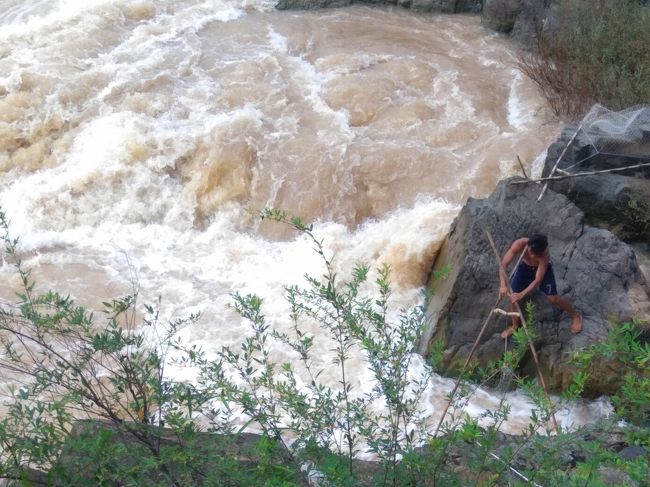 こんなところに網で魚を取っている人がいました。