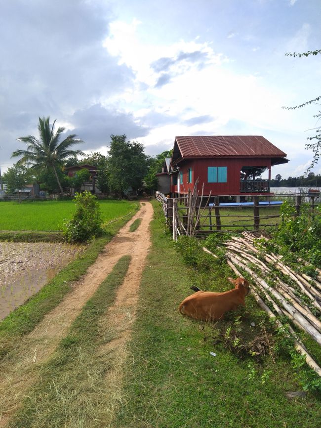 細い道をどんどん進んでゆきます。<br />途中に船着き場やゲストハウス街がありました。