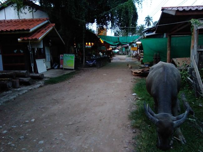 宿を探して歩きます。