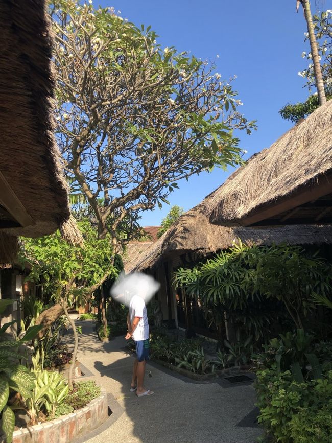 食後は敷地内を散歩<br />まっ青な空