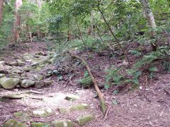 　お寺の裏くらいに二つ山道みたいなのがあるが、右側の山道を登る。石段はあるがかなり崩れかかっている。看板もなく、曲がりくねった険しい山道で、本当にたどり着けるか不安になる。