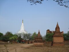 レイミャナー寺院群遠景。