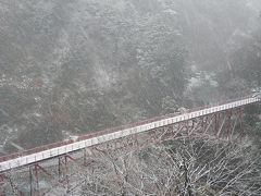 この「奥鐘橋」は雪のため、通行止めでした。
こんなの雪のウチに入らないのに。笑
しかーし、土地の者がそういうのであれば、致し方ない。

この橋を渡った先には「人喰岩」という観光名所もあるようです。