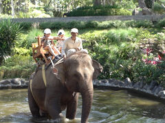 バリズーでゾウさんライド。子どもにGopro持たせています。