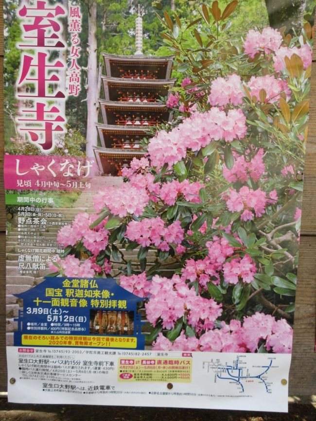 平成最後の月に訪れ 令和に記す紀州 大和路の旅 ８日目その２ 室生寺と帰路の名古屋港発フェリー 室生 宇陀 奈良県 の旅行記 ブログ By はくさんちどりさん フォートラベル
