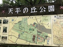 下野市に移動して天平の丘公園。