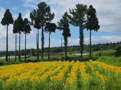 正確な場所は忘れてしまいましたが、この山麓都市農村交流施設の付近だったので、こちらでスポット登録しておきましょう。