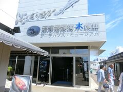 ここが深海水族館。大人1,600円。ここの半券で食事処が10%引きになるので、先に入場を済ませる。手の甲に再入場スタンプを押せば再入場できるので、一度ザッと見てからランチに出ることにする。