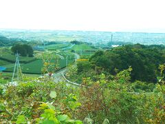 初新東名！！駿河湾沼津SA(下り)
茶畑、東名、海、なかなかの絶景でした

新東名が出来た理由をDさまから初めて聞いて驚愕.......
そして目の前の風景を見て納得！！
私の中では衝撃の時でした(ﾟ∀ﾟ))