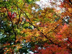 なお虎の主役
”龍潭寺”
に来ました