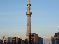 隅田川の向こうにスカイツリー。