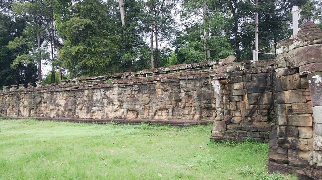 壁一面象。<br />反対側はガルダ一面！<br />雨期なので緑の中にあってこれも素敵