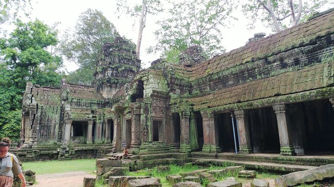 倒壊しているところが多いです。<br />ゴロゴロとした石と苔！<br />