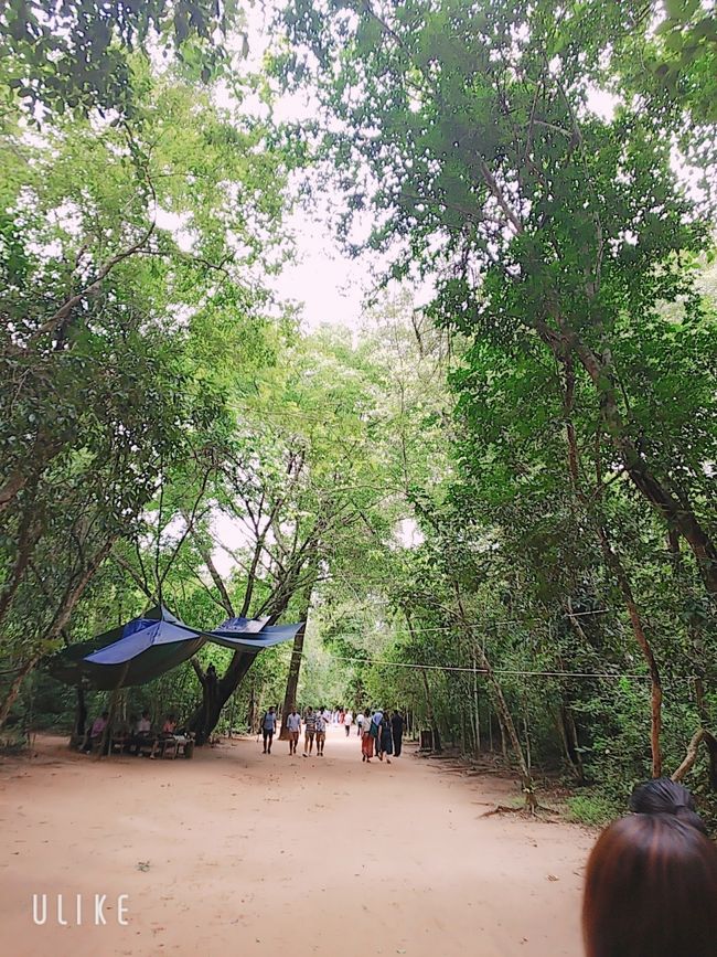 車で移動して、タ・プローム。<br />入り口からまた歩きます。