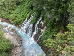 　白ひげの滝は、地層の間から水が湧きだしています。
　美瑛川の色がコバルトブルーにきらめくのは、酸性の水質のため白色に変質するためです。
　白ひげの滝が見えるブルーリバー橋上には、外国から来た若い男女の観光客で溢れていました。日本人の方が少ないような気がしました。