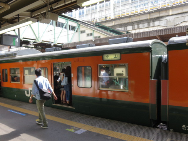 青春18きっぷ温泉旅 10終 両毛線に乗って高崎へ だけど体調悪化で 高崎 群馬県 の旅行記 ブログ By Happinさん フォートラベル 青春18きっぷ温泉旅 10終 両毛線に乗って高崎へ だけど体調悪化で 高崎 群馬県 の旅行記 ブログ By Happinさん フォートラベル