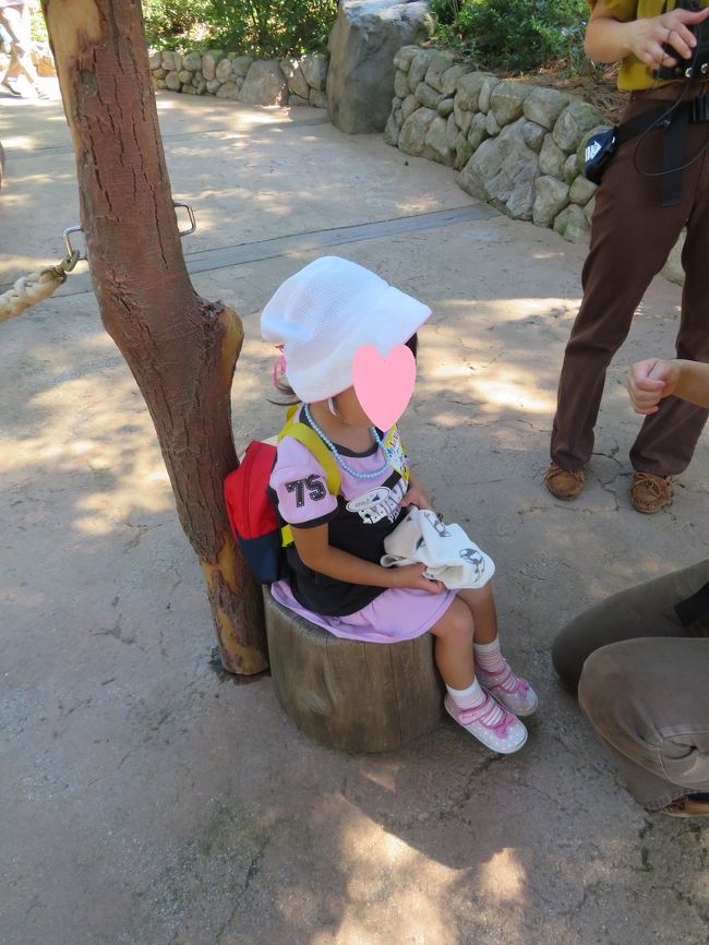 ３歳子連れの東京ディズニーランド 東京ディズニーリゾート 千葉県 の旅行記 ブログ By Akubiさん フォートラベル