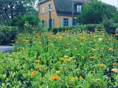 ウィーンで乗換え後朝9時にストックホルムに着きました。乗り換えは35分しかなかったので、ゲートに着いたらもう搭乗開始してました。

ストックホルム（の郊外）に駐在している家族の家で少し休憩して、前回来たときに行けなかったスカンセンへ。
