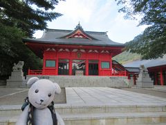 来たからには赤城神社も参拝。
後で知ったことには、群馬県内に赤城神社はかなりの数があるようで、こちらは大洞赤城神社というようです。
女性の願い事を叶えてくれる神様だそうです。
横のお守り売り場が充実してました。