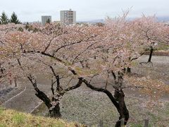 盛岡城跡公園
　　　　　　　　　　
　かつて不来方（こずかた）城とも呼ばれた盛岡城跡の公園。多くの文豪がこの城跡を愛し，数々の名作が文学碑で残る。現在は，ソメイヨシノ，サトザクラ，エドヒガンなど約200本の桜が咲く市民憩いの場。
　１週間程前ニュースで満開と報道されていたが，こちらも残念ながら葉桜状態で，小雨の中，さっと見学を済ませる。