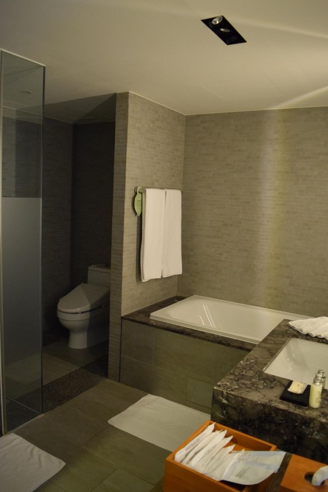 バスルームは浴槽とシャワーが別になっている。