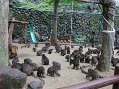 うみたまごを一通り見終えたら、向かいにある高崎山へ。ここはいわゆる野生のサル山。麓からは小さなおサルの電車（撮影し忘れた）に乗って、中腹の自然動物園まで進みます。
当日はあいにくの雨で、おサルさんはいつもより少ないそう（といっても写っているのは一部です）。
