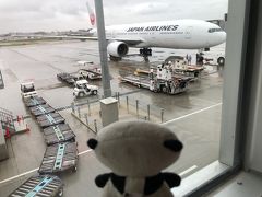 飛行機での移動